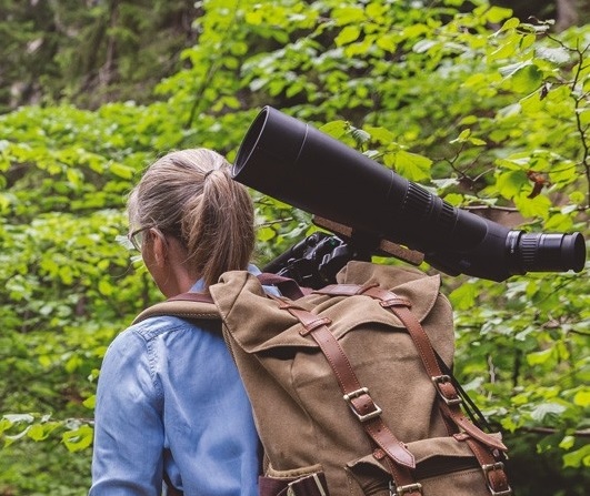 ZEISS Victory Harpia 95 Grundkörper, Schrägeinblick