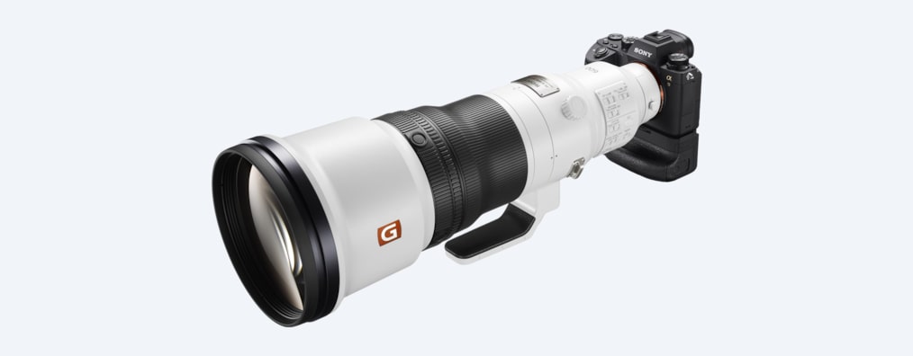 Sony FE 600mm 4.0 GM OSS