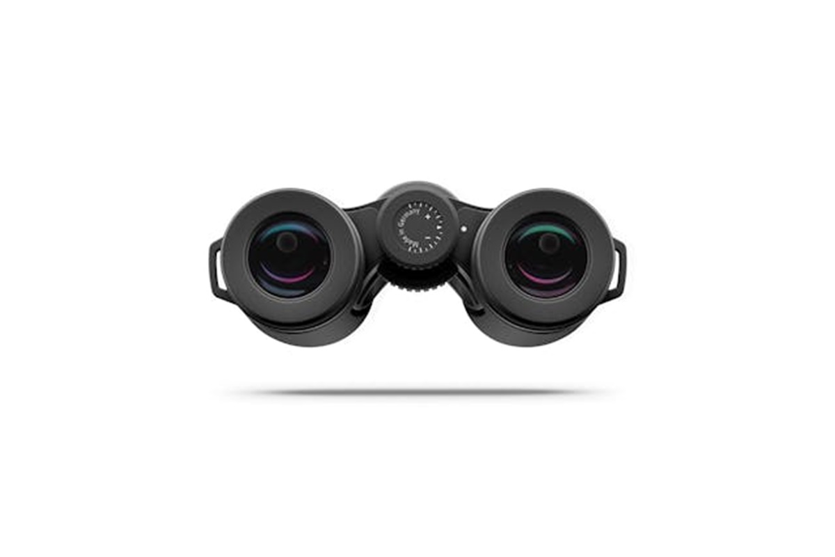 Zeiss Victory SF 10x32