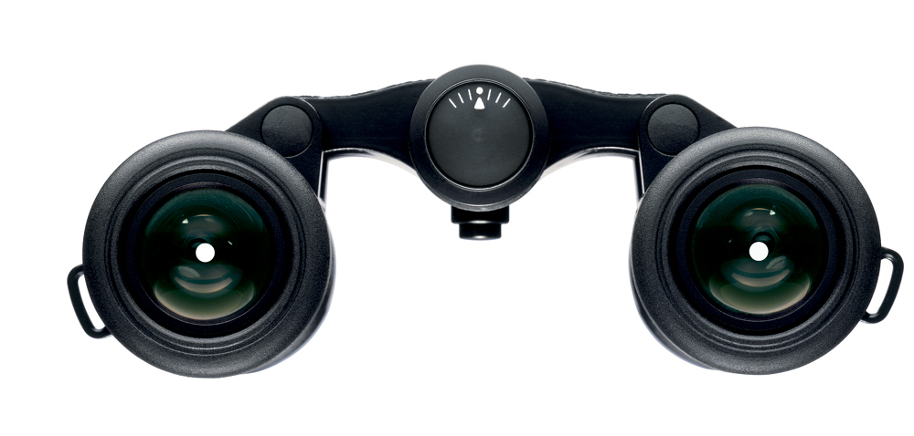 Leica ULTRAVID  8x20 beledert, schwarz 40605