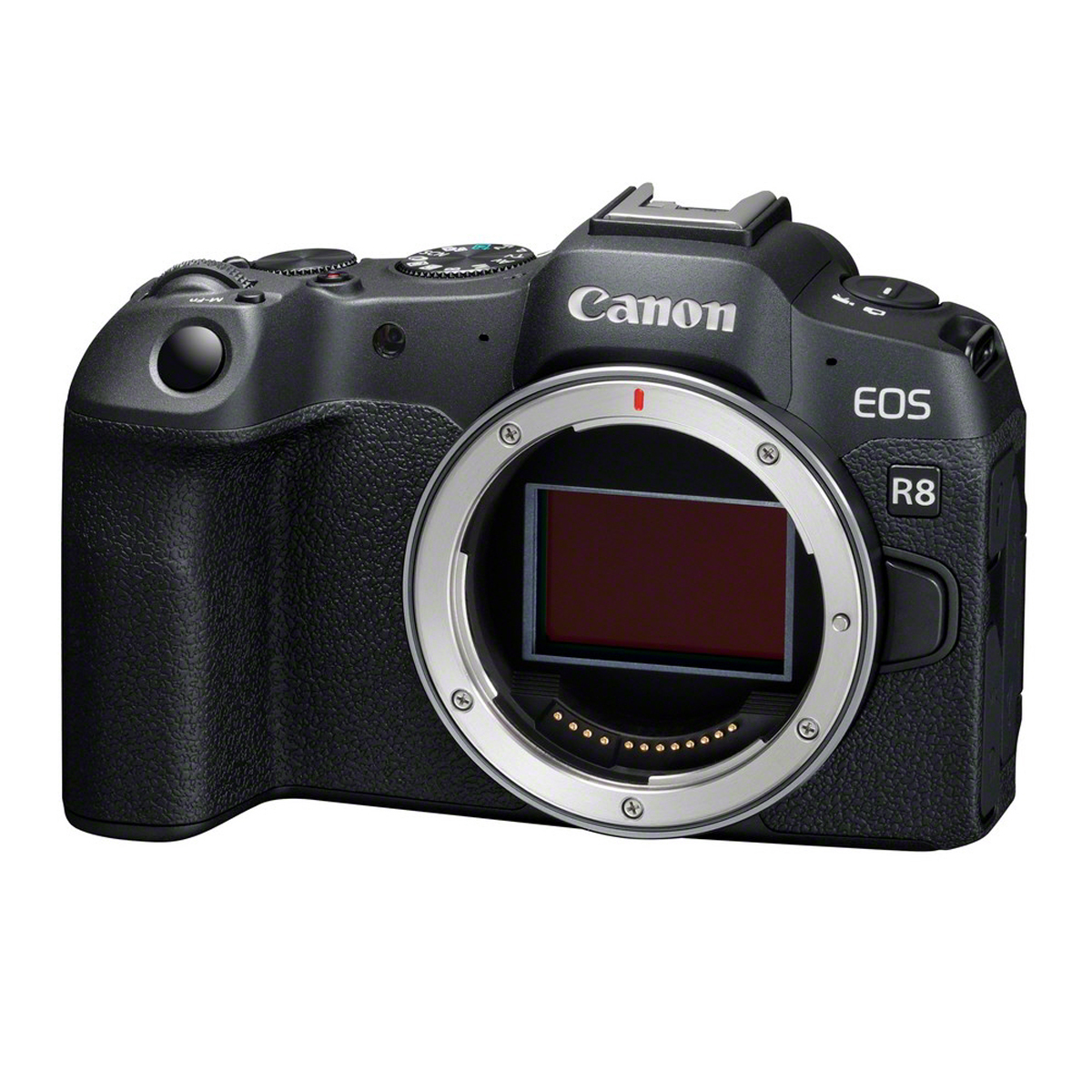Miete Canon EOS R8