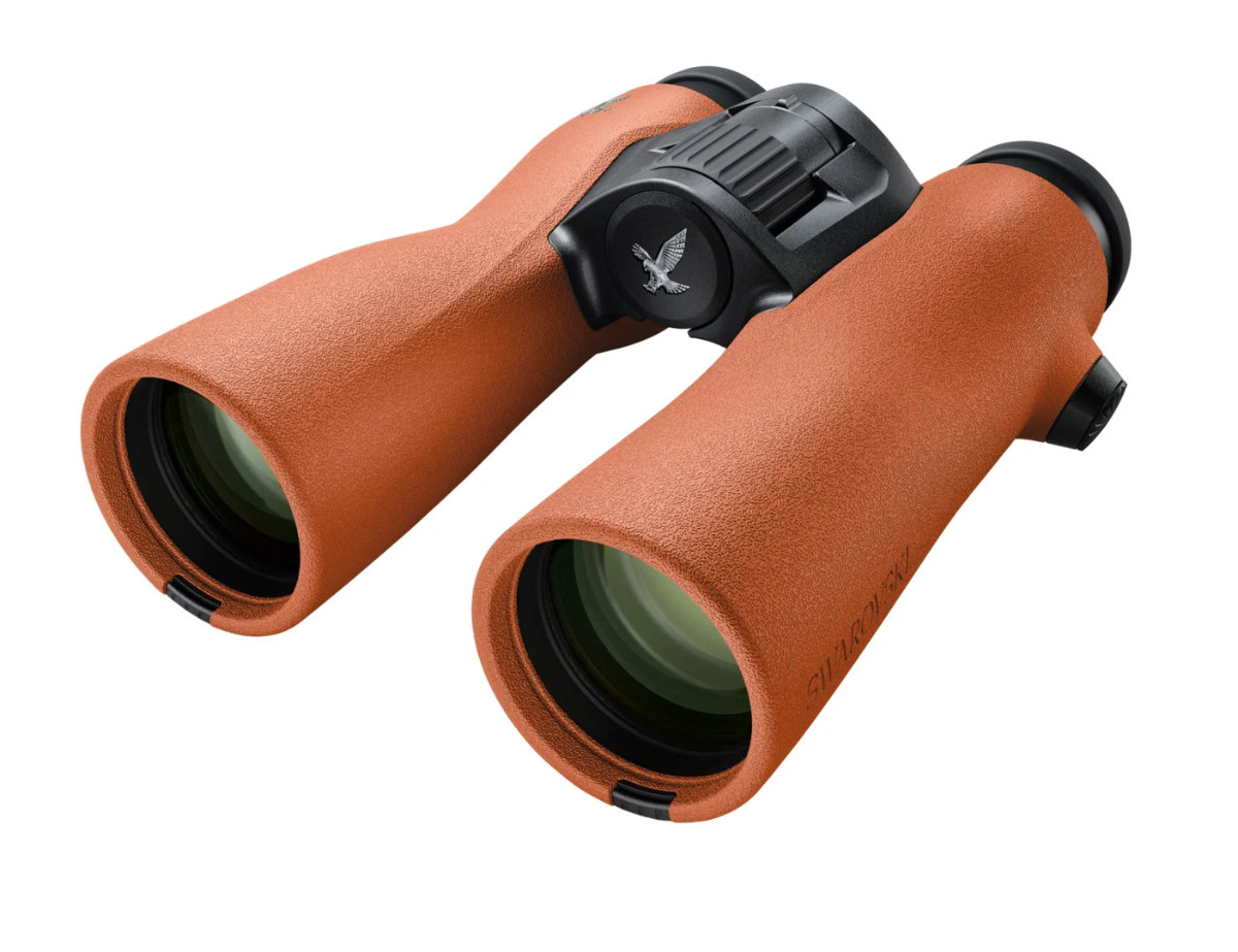 Swarovski NL Pure 12x42 burnt-orange
