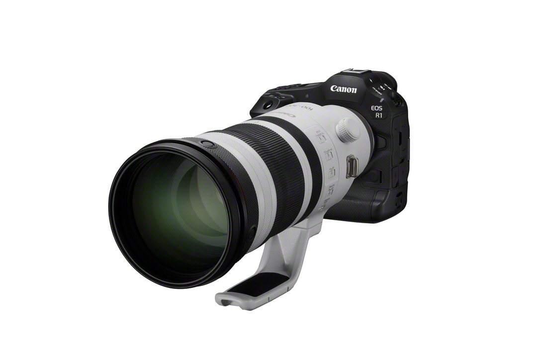 Canon EOS R1 Gehäuse Rückläufer