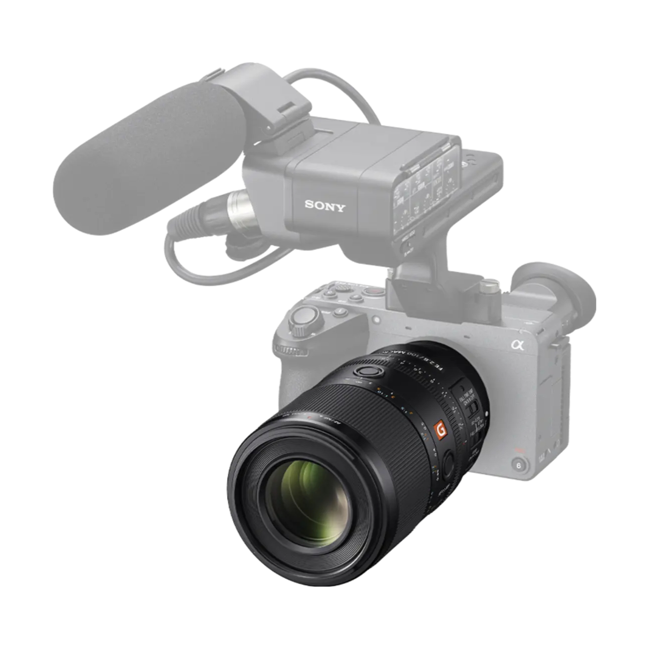 Sony FE 100mm F2.8 Makro GM OSS