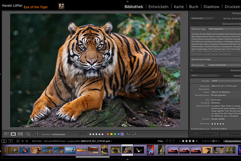 Adobe Lightroom Basis-Workshop mit Harald Löffler I+II