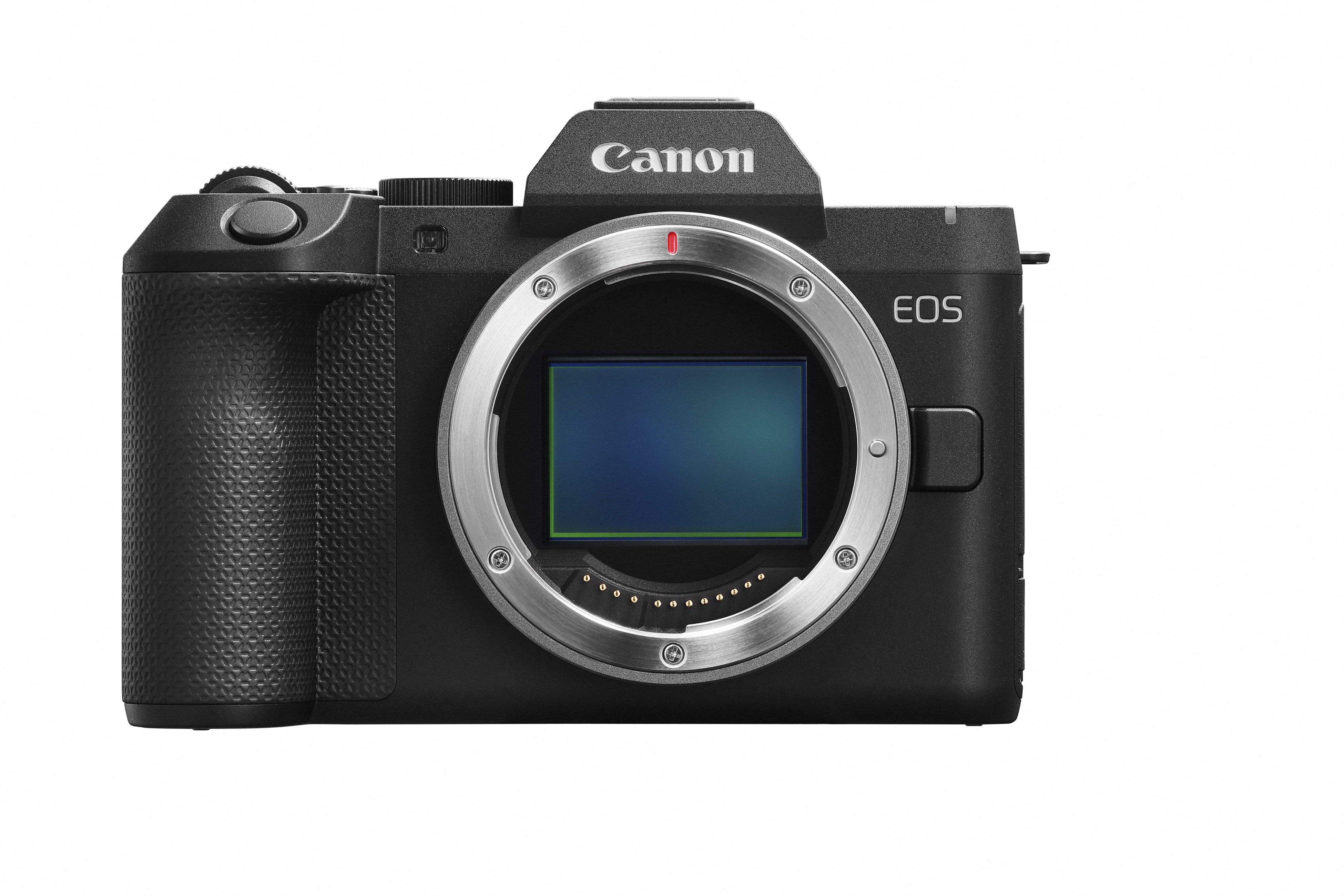 Canon EOS R8 II Body