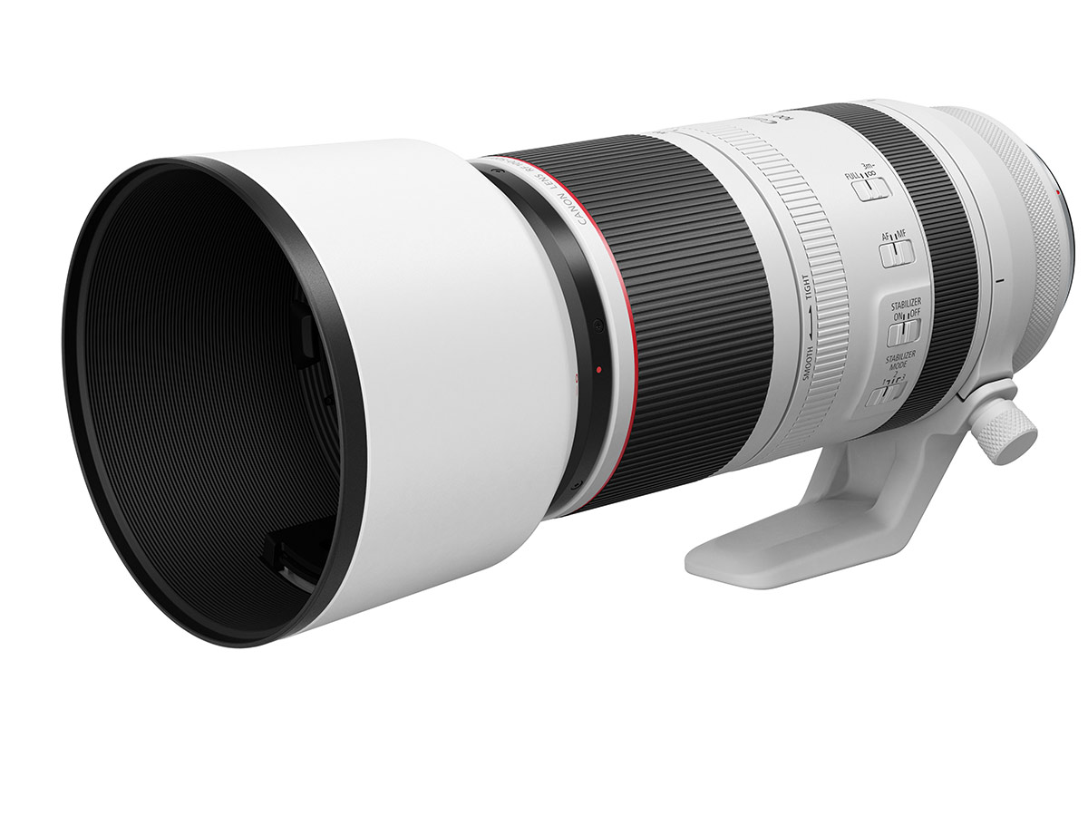 Canon RF 100-500mm F4.5-7.1 L IS USM