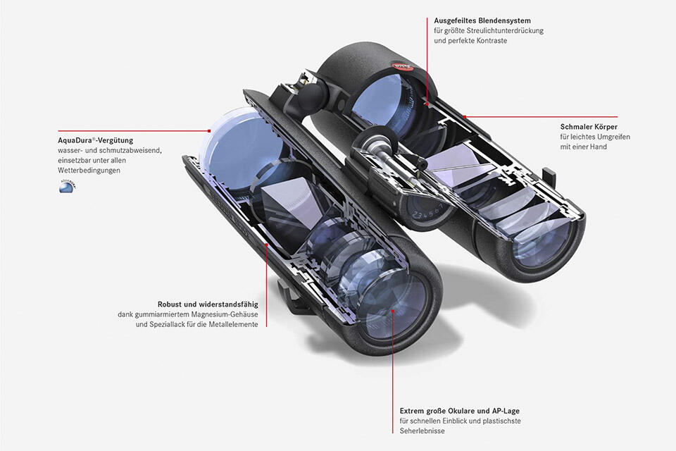 Leica NOCTIVID HD  8X42  schwarz 40384