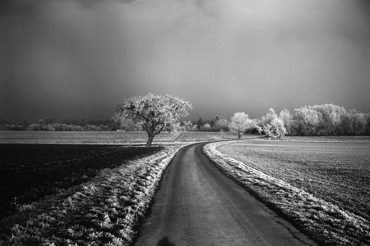 Leica Monopan 50 135-36 Schwarz-Weiß Film
