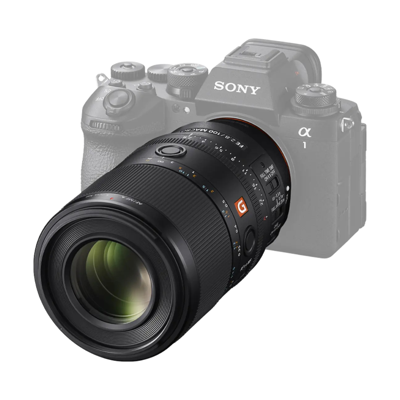 Sony FE 100mm F2.8 Makro GM OSS