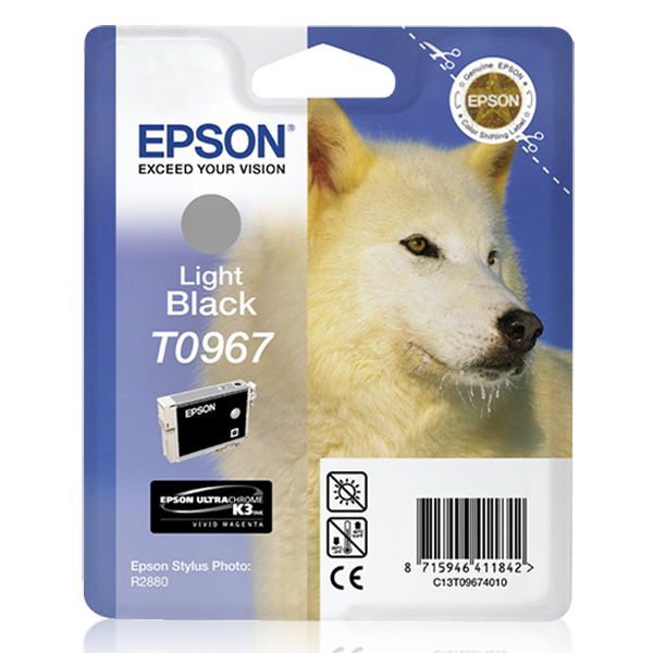 EPSON 2880 11.4 ML LIGHT BLACK