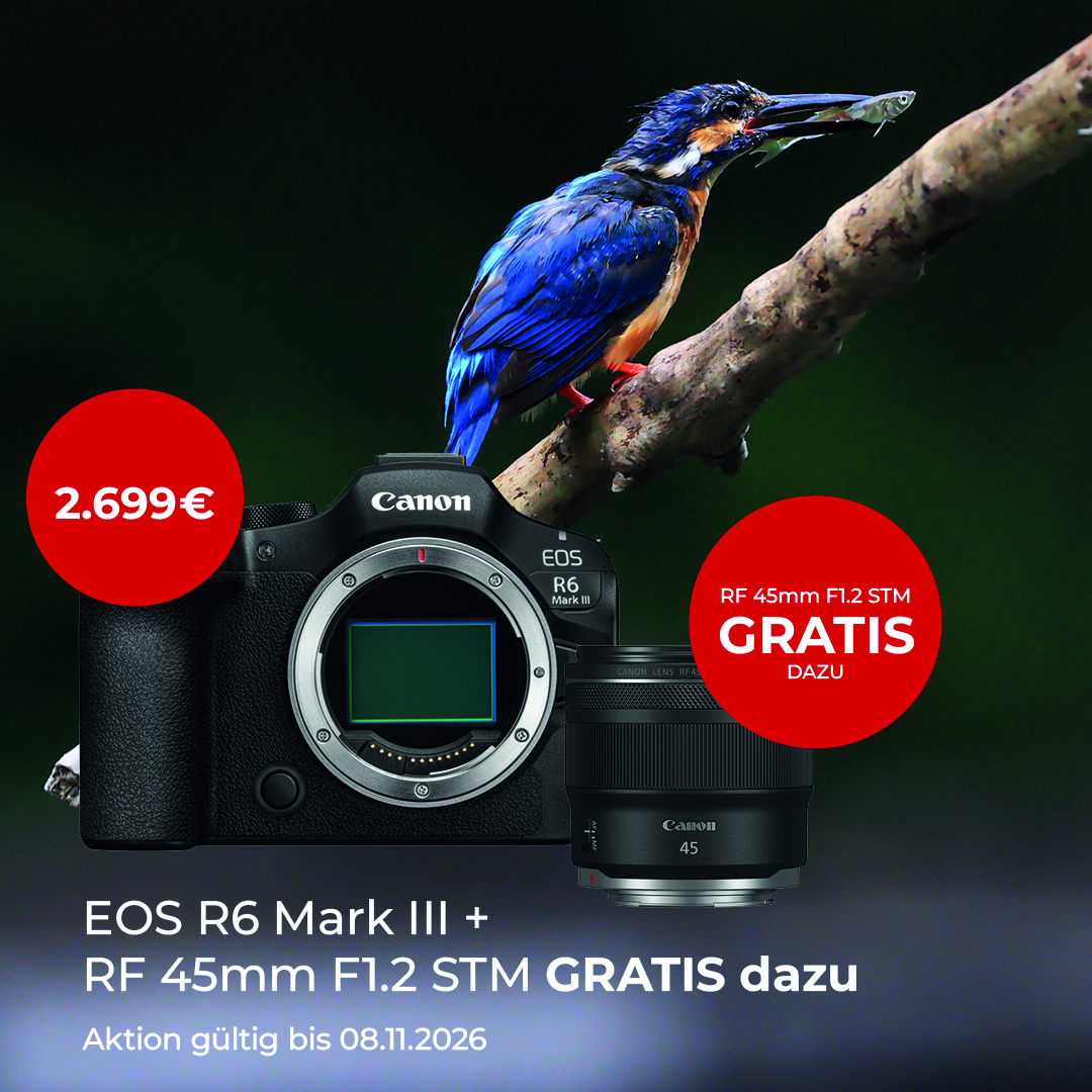 Canon EOS R6 Mark III + RF45mm F1.2 STM